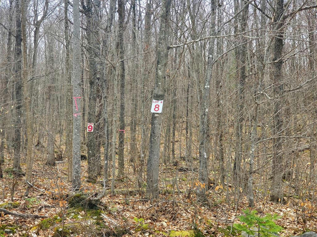 LOT 8 DAIGNEAU TRAIL, VERMONTVILLE, NY 12989, photo 1 of 6