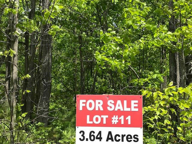 LOT 11 SHIRLEY'S WAY, AUSABLE FORKS, NY 12912, photo 1 of 5