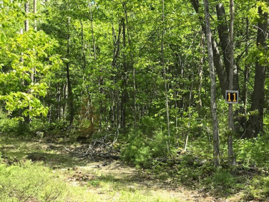 LOT 11 SHIRLEY'S WAY, AUSABLE FORKS, NY 12912, photo 4 of 5