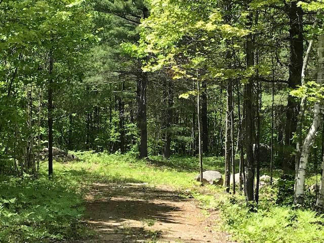 LOT 6 SHIRLEY'S WAY, AUSABLE FORKS, NY 12912, photo 1 of 3