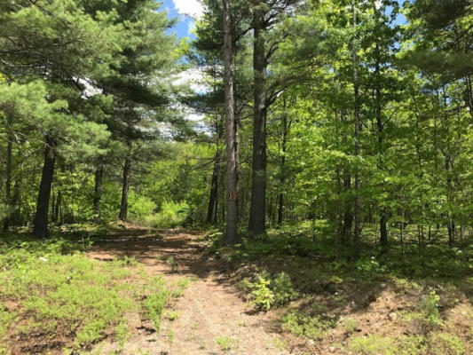 LOT 10 SHIRLEY'S WAY, AUSABLE FORKS, NY 12912, photo 3 of 4